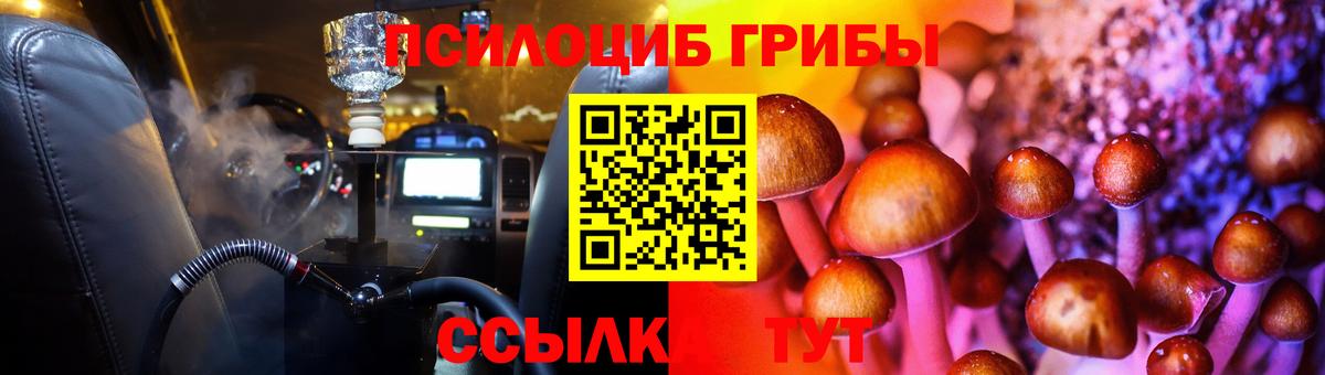 Галлюциногенные грибы Psilocybe Москва